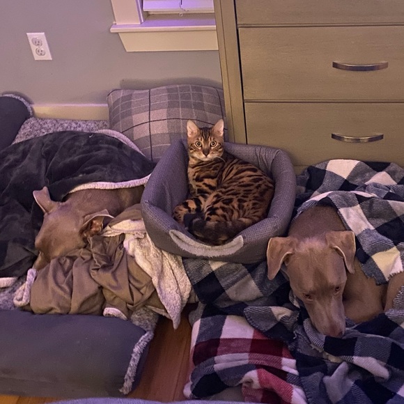 Meet your Posher, Erika - Picture 3 of 3